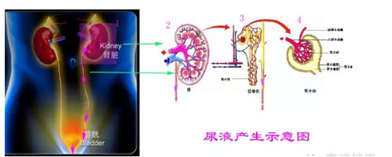 C:\Users\user\Desktop\微信圖片_20190510084318.png C:\Users\user\Desktop\微信圖片_20190510084318.png