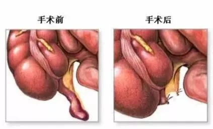 C:\Users\user\Desktop\圖片1.png C:\Users\user\Desktop\圖片1.png