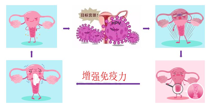 微信圖片_20191129084131.jpg