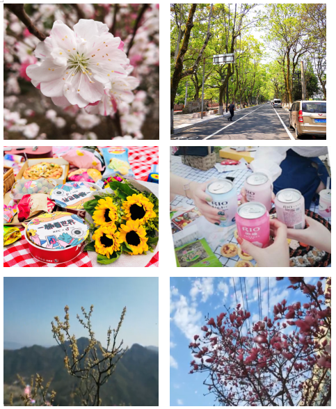 微信圖片_202004201534542.png
